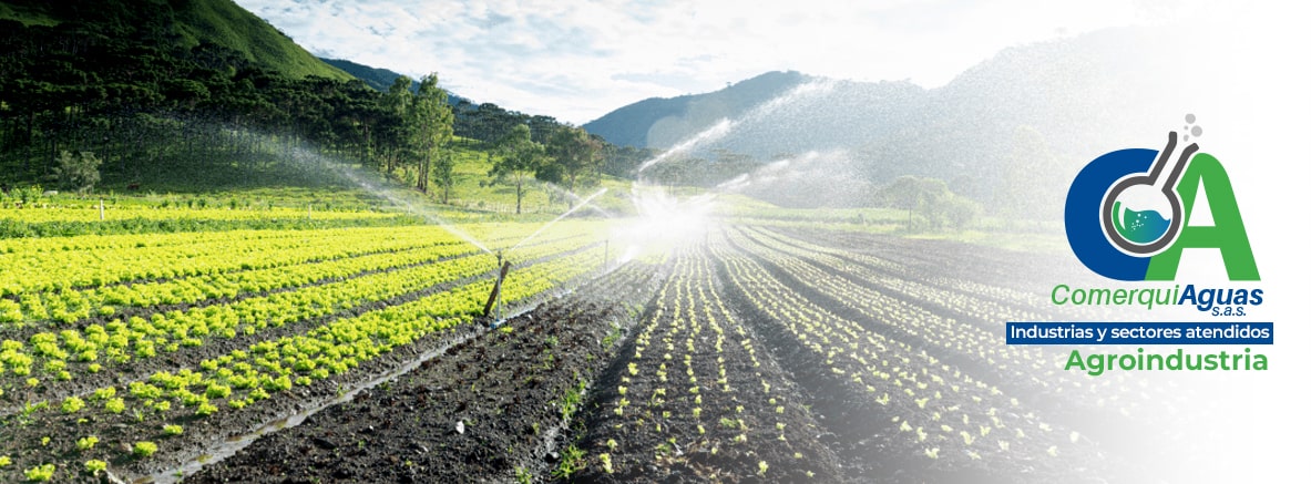 ComerquiAguas S.A.S es una empresa Colombiana con 25 años de experiencia en la Comercialización de productos químicos para tratamiento de Agua potable, Industrial, Recreacional y Residual, nos caracterizamos por seleccionar productos de calidad superior que garanticen la eficiencia en los procesos de nuestros clientes.